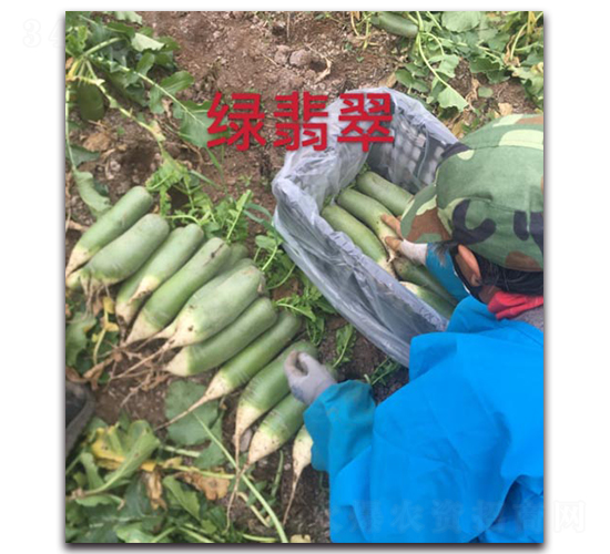 �G���-�}���N��-�����r(n��ng)