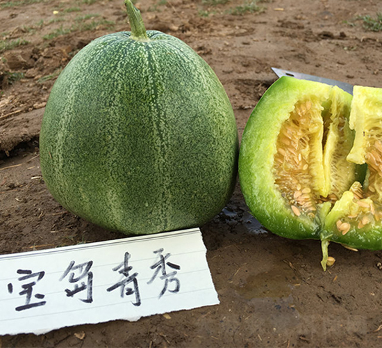 ���u����-��ϷN��-�W�m��