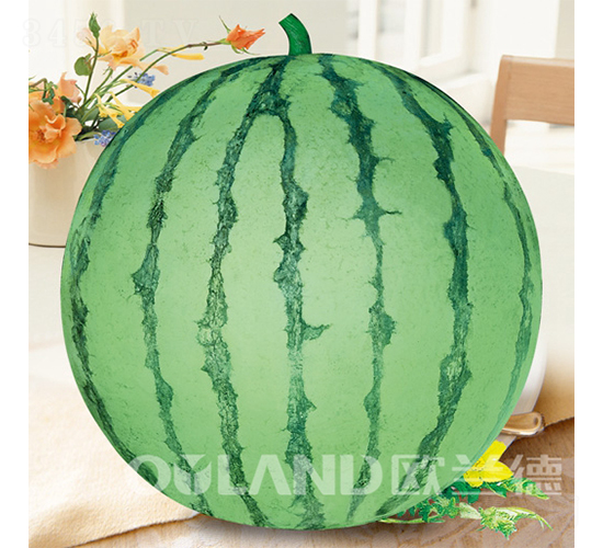 ���84-24-���ϷN��-�W�m��