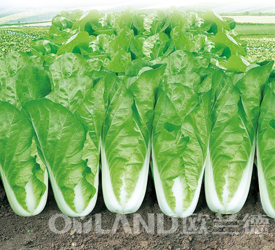 �r(n��ng)��22��-��˷N��-�W�m��