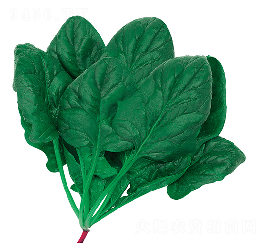 �ʼ�K6-���˷N��-�W�m��