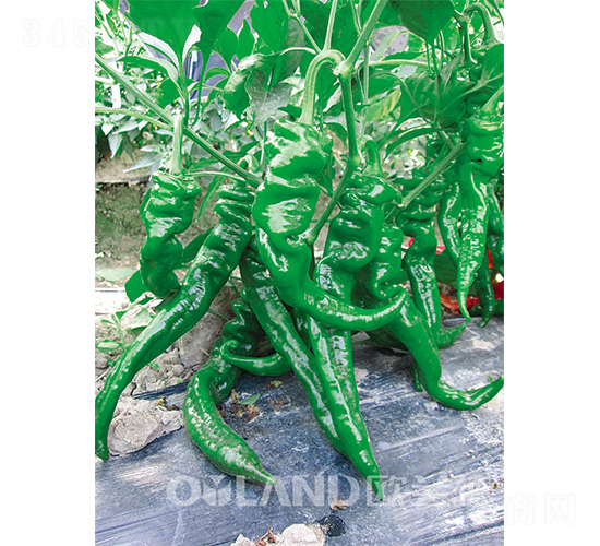 ��(gu��)�r(n��ng)�ݽz��-�ݽz���N��-�W�m��