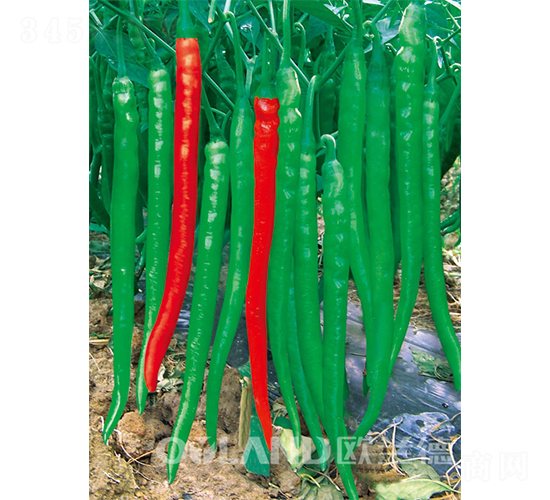 �G��ؐ-�����N��-�W�m��