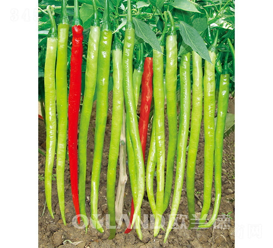 �S��ؐ-�����N��-�W�m��