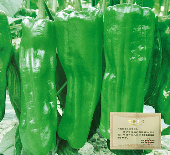 ��������W��500-�����N��-�W�m��