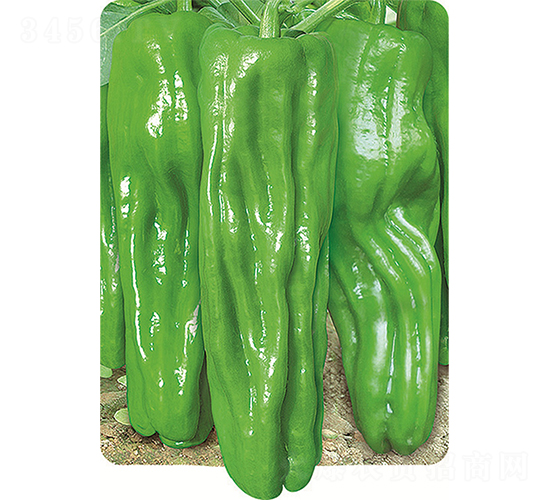 ����(j��)����W��600-�����N��-�W�m��