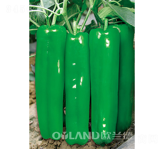 ���r(n��ng)301-�ݽ��N��-�W�m��