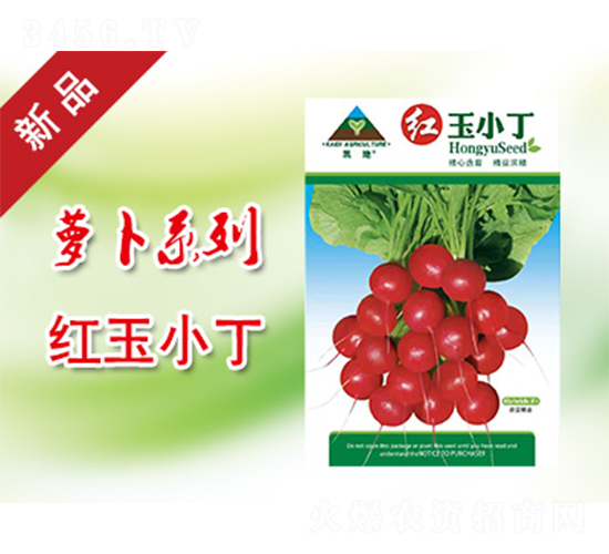 �t��С��-�}���N��-�P���r�I(y��)