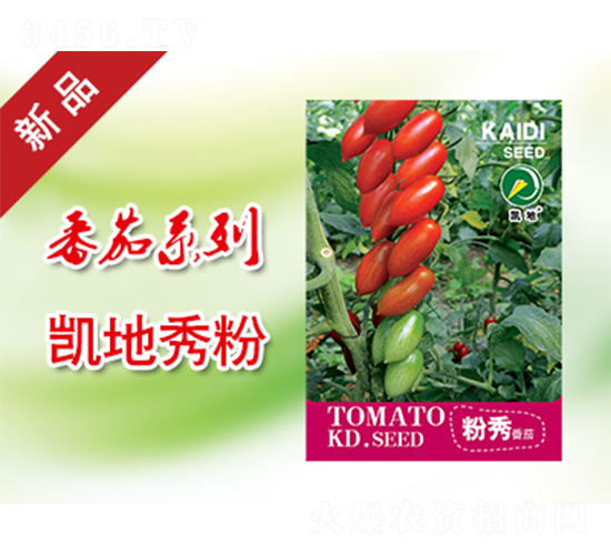 ����-���ѷN��-�P���r(n��ng)�I(y��)