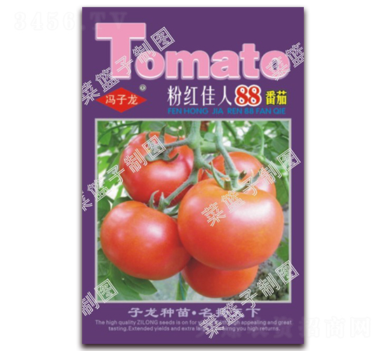 �ۼt����88����-���ѷN��-�����N�I(y��)