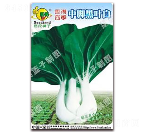 ����ļ����_���~��-�ײ˷N��-�����N�I(y��)