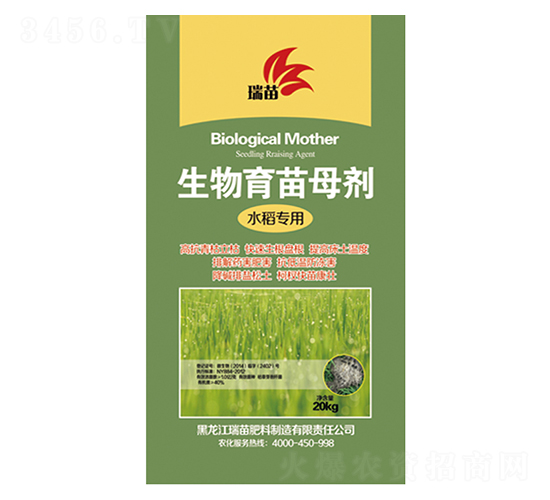 ��������ĸ��-����