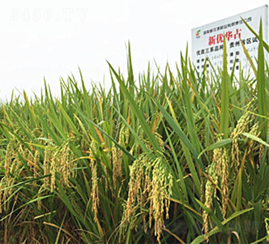 ��(y��u)�Aռ-ˮ���N��-�һ�Դ