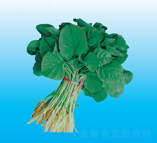 �_(t��i)�����{��-�{�˷N��-�����N�I(y��)