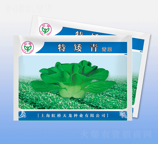 �ذ���-�๣�˷N��-�����N�I(y��)