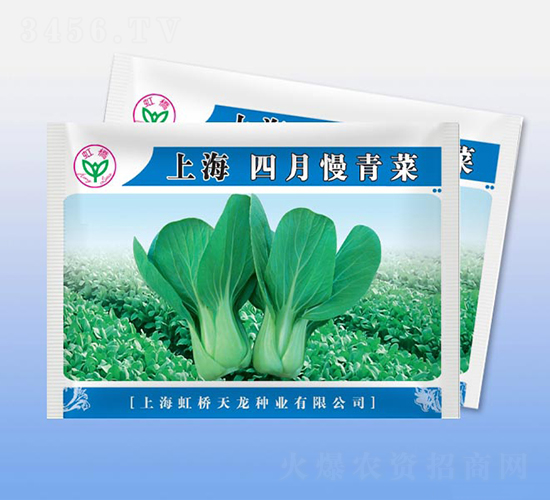 �Ϻ����������-�๣�˷N��-�����N�I(y��)