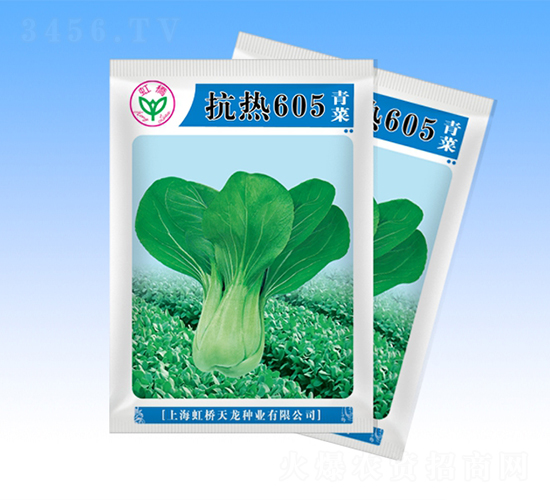 ����605-�๣�˷N��-�����N�I(y��)