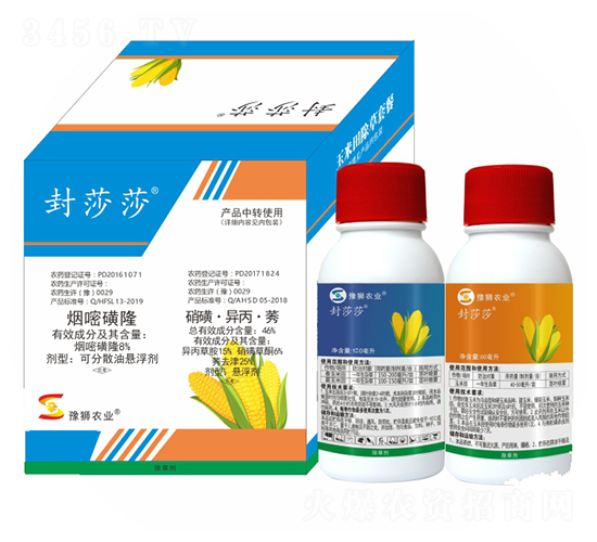 ��������݄�-��ɯɯ-�S�՘�