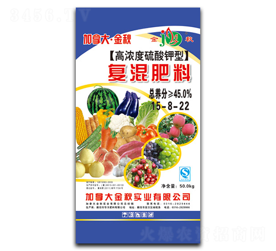 �ߝ��������͏�(f��)�����15-8-22-���ô󡤽���-�A������