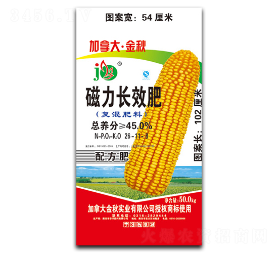 �����LЧ���׌��Ï�(f��)���26-11-8-���ô󡤽���-�A������