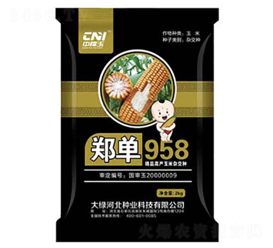 ����958-���׷N��-�δ�G