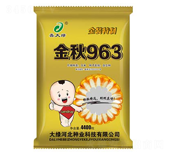 ����963-���׷N��-�δ�G