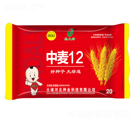 ����12-С���N��-�δ�G