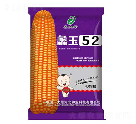 ���52-���׷N��-�δ�G