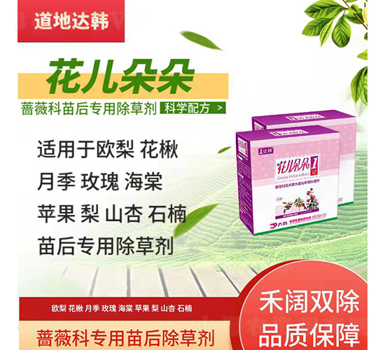 �Nޱ�ƌ��������݄�-�������-�����_�n