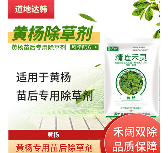 �S��������݄�-�����_�n