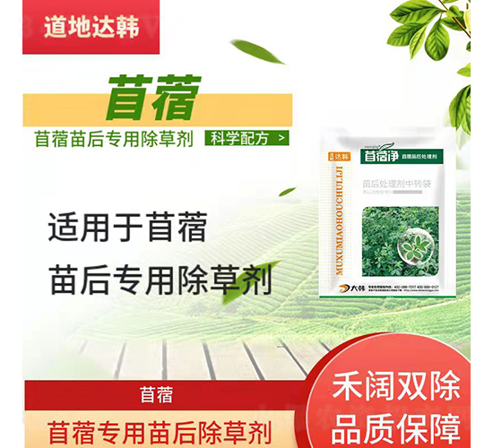 ��ޣ���������݄�-��ޣ��-�����_(d��)�n