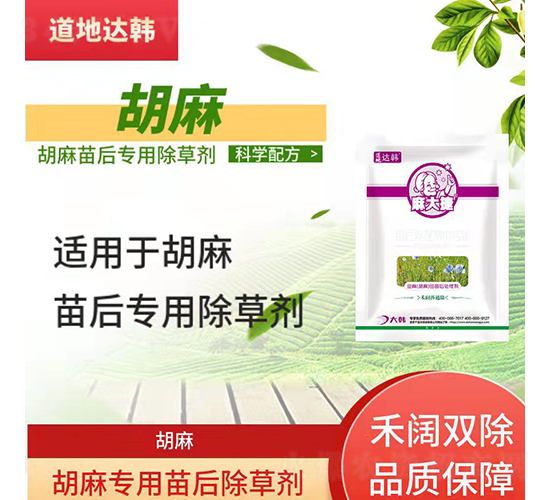 ���錣�������݄�-����-�����_(d��)�n