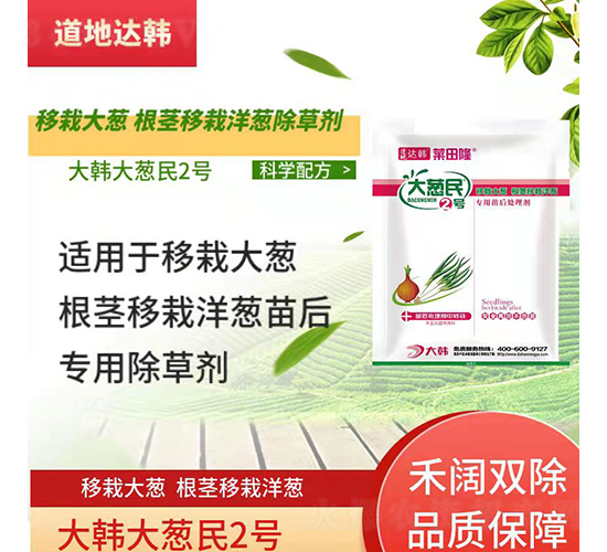 ���Դ��[���o�������[���������݄�-���[��2̖-�����_�n