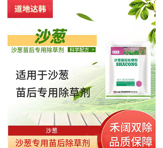 ɳ�[���������݄�-�����_(d��)�n