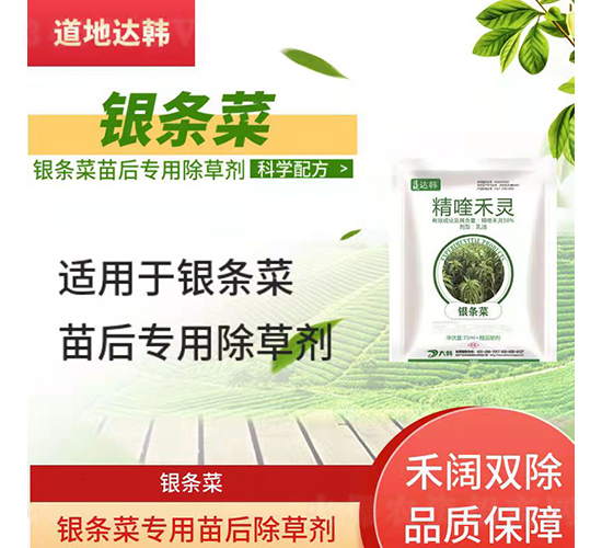 �y�l�ˌ�(zhu��n)�������݄�-�����_(d��)�n