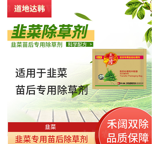 �²�����ó��݄�-����¡-�����_�n