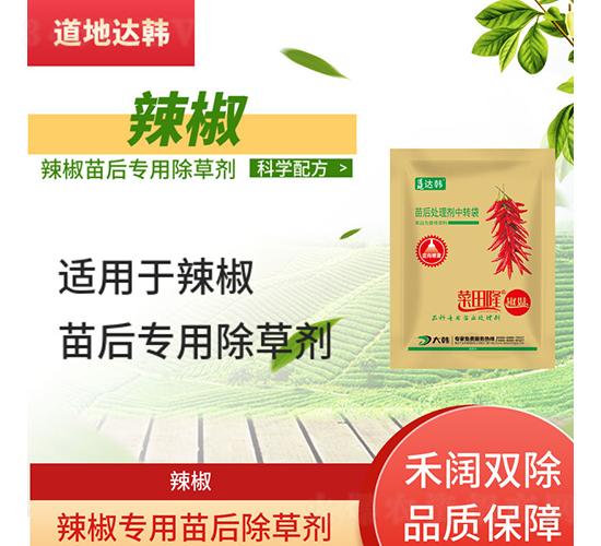 ��������ó��݄�-����-�����_�n