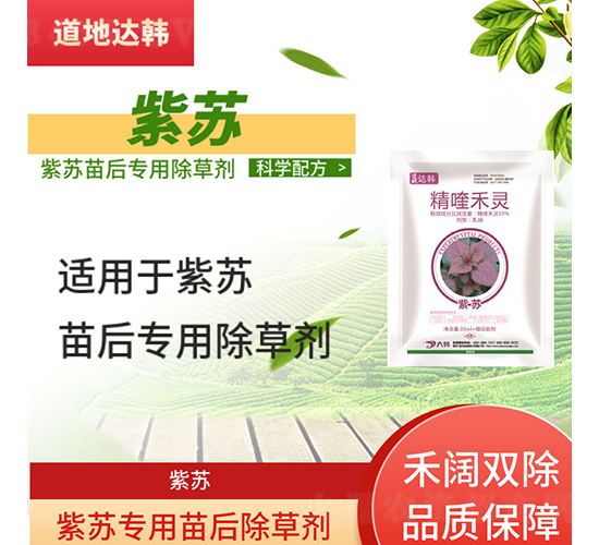 ���K��(zhu��n)�������݄�-�����_(d��)�n