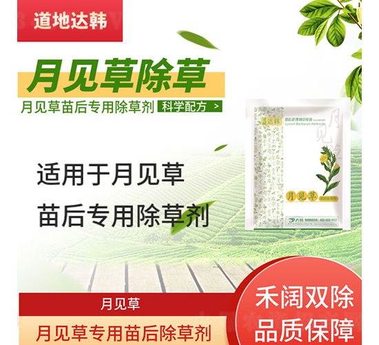 ��Ҋ�݌��������݄�-�����_(d��)�n