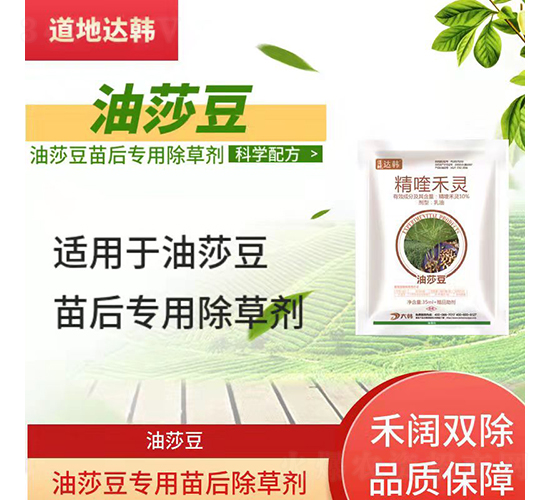 ��ɯ�����������݄�-�����_(d��)�n