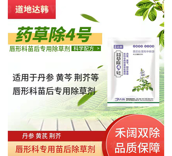 �����S���G��،��ó��݄�-ˎ�ݳ�4̖-�����_�n