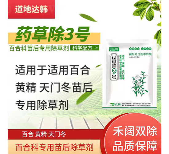 �ٺ��S�����T����ó��݄�-ˎ�ݳ�3̖-�����_(d��)�n