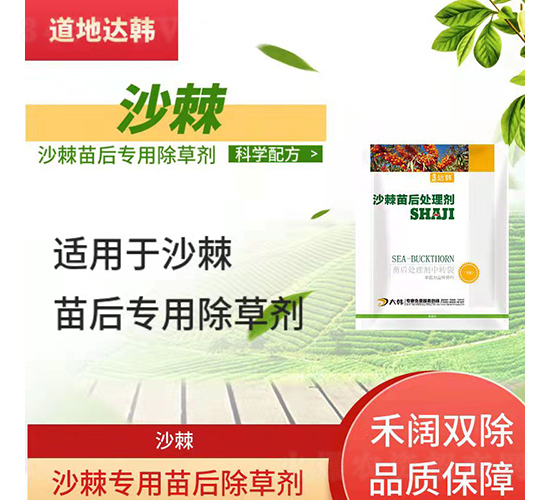 ɳ�����������݄�-�����_�n