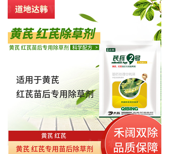 �S�μt�Ό��������݄�-�α�2̖(h��o)-�����_(d��)�n