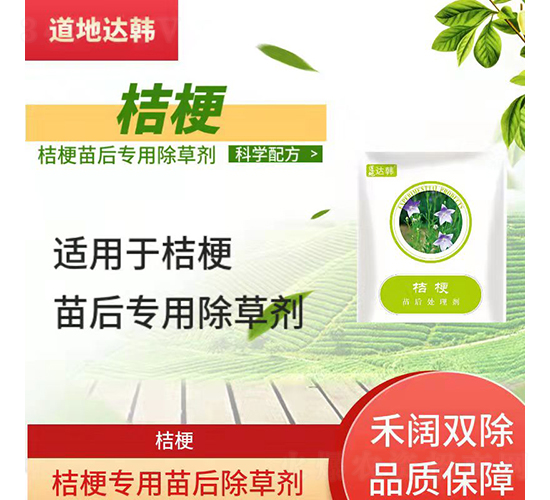 �۹����������݄�-�����_(d��)�n