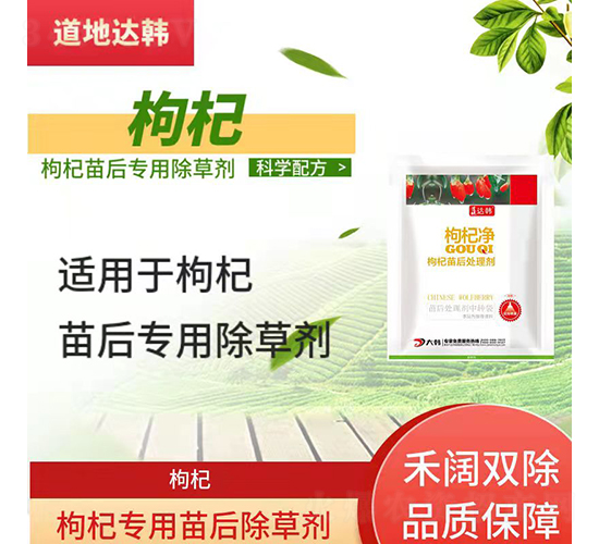 ��轌��������݄�-�����_�n