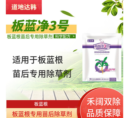 ���{(l��n)�����������݄�-���{(l��n)��3̖(h��o)-�����_(d��)�n