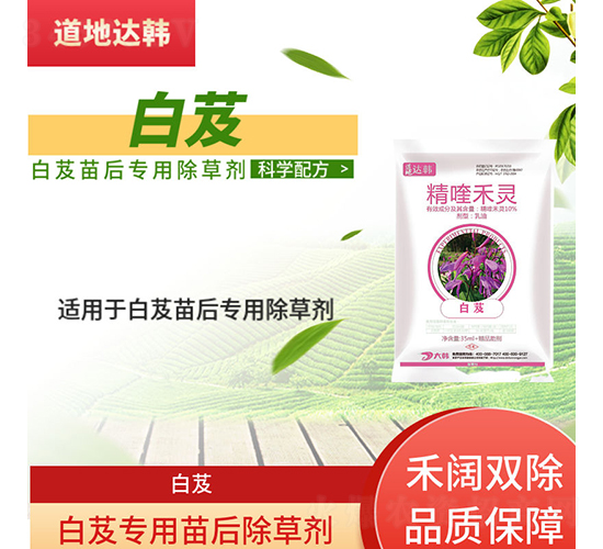 ��ܸ���������݄�-�����_(d��)�n