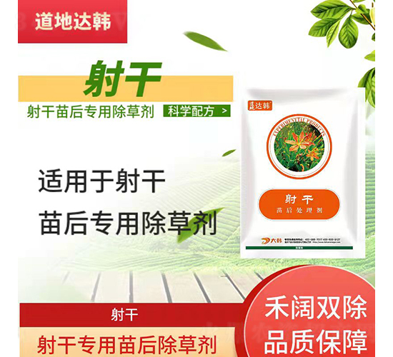 ��Ɍ��������݄�-�����_�n