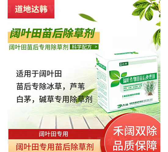 ��~��������݄�-�����_(d��)�n